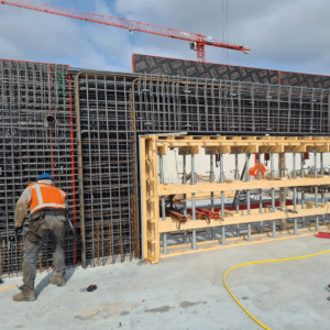 pavo-vlechters_0000_Afbeelding-van-WhatsApp-op-2024-03-04-om-19.43.38_2c20e679