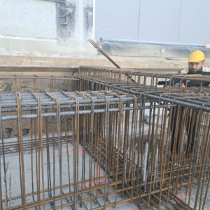 pavo-vlechters_0003_Afbeelding-van-WhatsApp-op-2024-03-04-om-19.43.38_d2eed35f