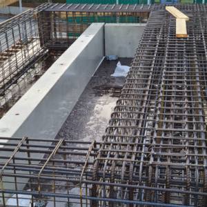 pavo-vlechters_0014_Afbeelding-van-WhatsApp-op-2024-03-04-om-19.43.37_c400d052