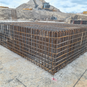 pavo-vlechters_0018_Afbeelding-van-WhatsApp-op-2024-03-04-om-19.43.37_5a528d29