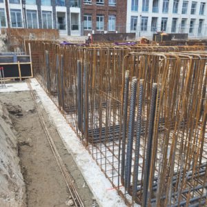 Pavo Vlechters_0003_Afbeelding van WhatsApp op 2024-07-04 om 20.30.57_e8b1a1d4