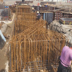 Pavo Vlechters_0004_Afbeelding van WhatsApp op 2024-07-04 om 20.30.01_da2115a0